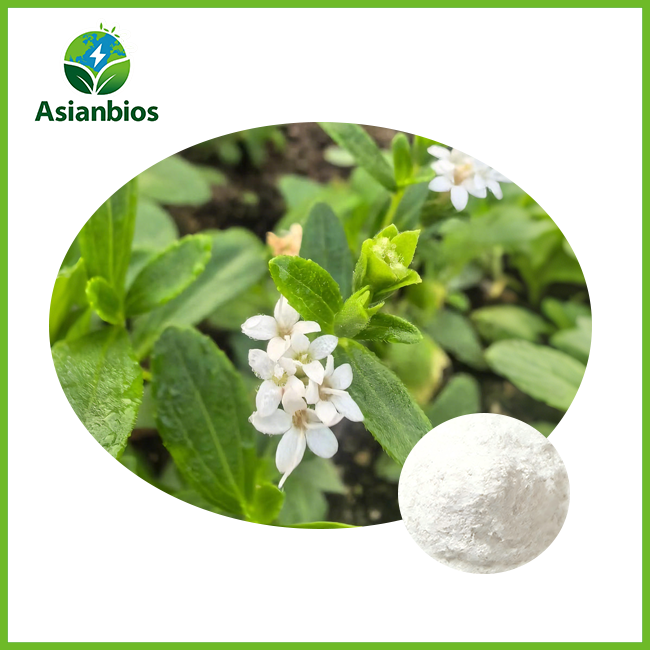 bulk stevia extract powder